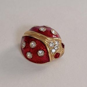 Ladybug Pin